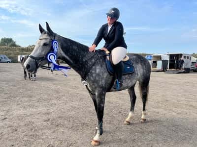Post 314 of Show jumping with title Inhomhus debut lillhagen 