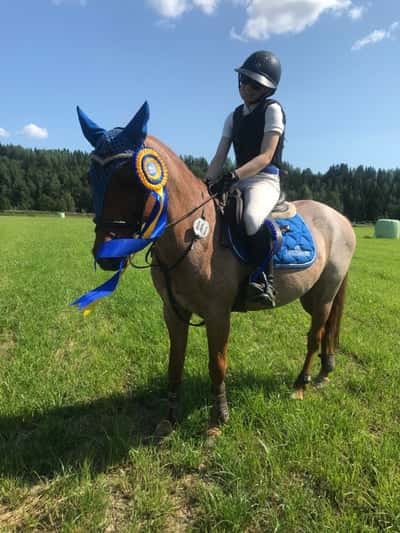 Post 163 of Show jumping