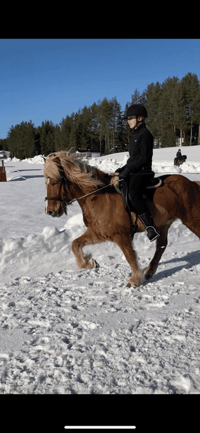 Inlägg 12 av Island