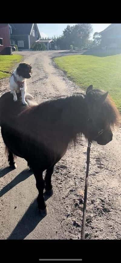 Inlägg 5 av Allround