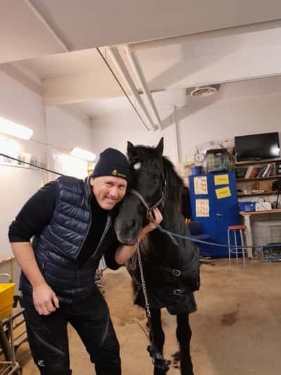 Inlägg 19 av Kallblodstravare med titeln Wången