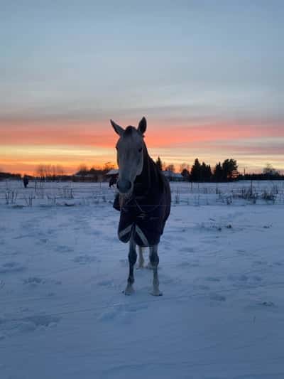 Inlägg 89 av Allround
