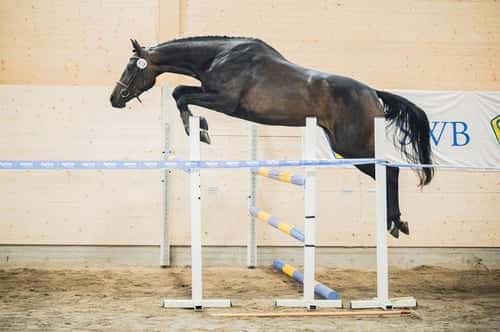 Bild av Häftig 3-åring