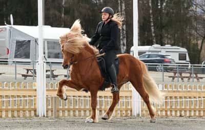 Inlägg 45 av Allround med titeln Mjøsmot 2024🚀⭐️🔥