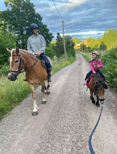 Inlägg 71 av Allround