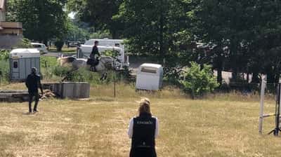 Inlägg 13 av Fälttävlan med titeln Första gången på terräng banan tsm😍