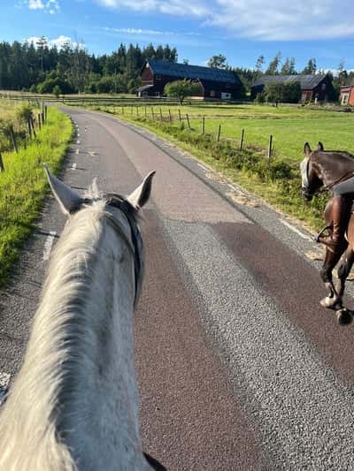 Inlägg 13 av Allround