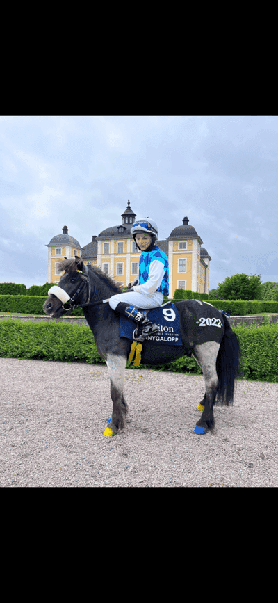 Inlägg 67 av Galopp med titeln SM i Strämsholm