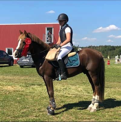 Post 239 of Show jumping with title Våran första placering