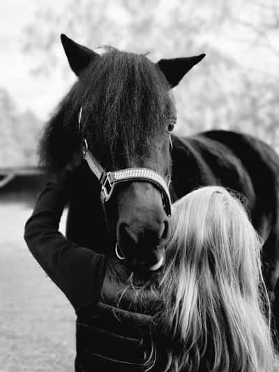 Inlägg 142 av Allround