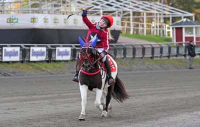Inlägg 2 av Monté med titeln DPK’s ponnytravgala 