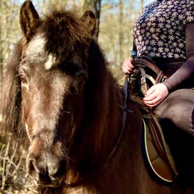 Hængur frá snjallsteinshöfða 2