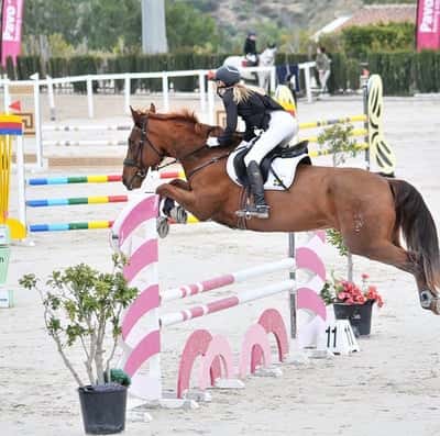 Inlägg 107 av Allround