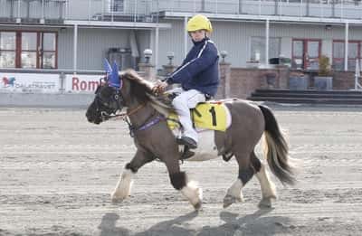 Inlägg 23 av Monté med titeln Monte