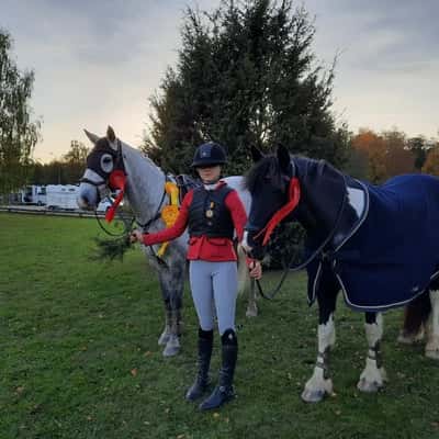 Post 352 of Show jumping with title 3 plats på dm 
