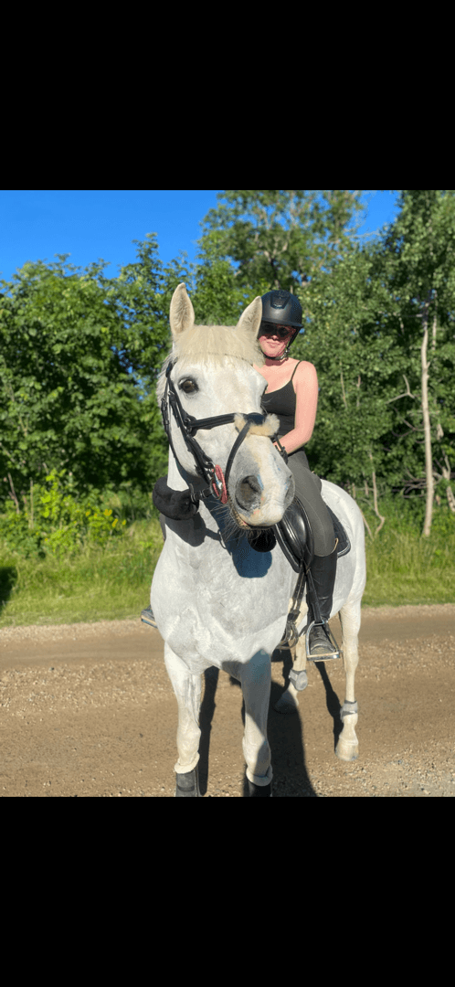 Bild av Maxad D ponny tillsalu