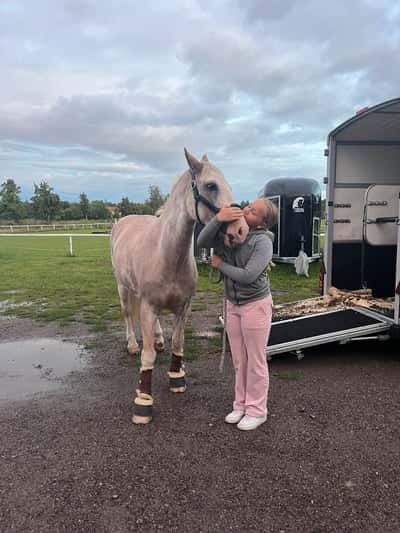 Inlägg 17 av Allround