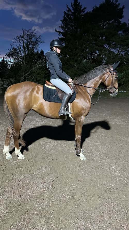 Image of Swb sto för framtiden 