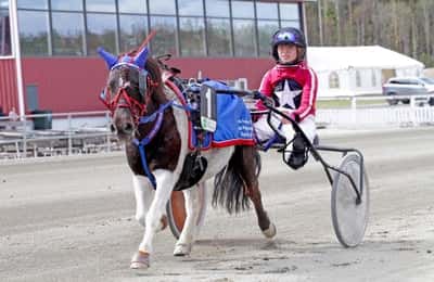 Inlägg 107 av Ponnytrav med titeln Ponnytrav 