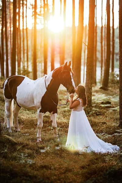 Inlägg 57 av Allround