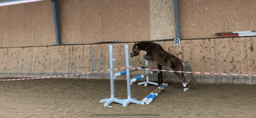 Bild av Världens bästa ponny🦄