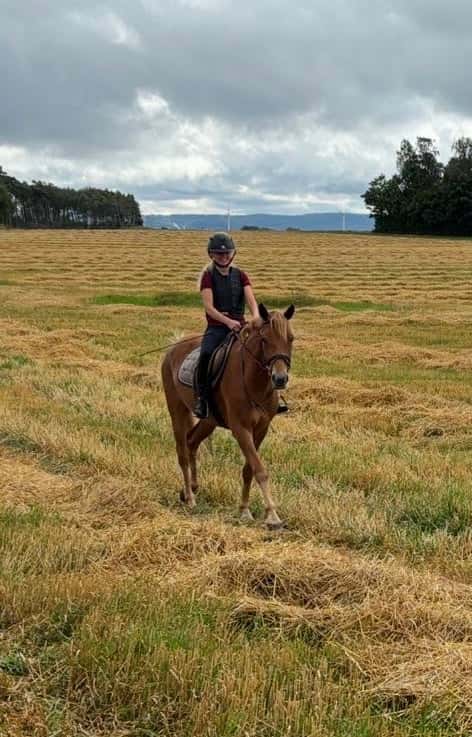 Bild av Ponny för framtiden🌟