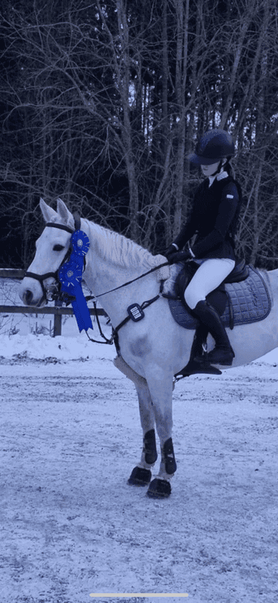 Post 194 of Show jumping with title Lidköpings ridklubb💖⚡️