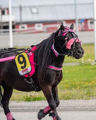Skärgårdens Victory
