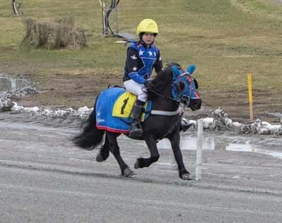 Inlägg 6 av Monté med titeln Ponnytrav 