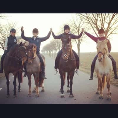 Post 4 of Bashkir with title Flyttade till hästgymnasium ✨