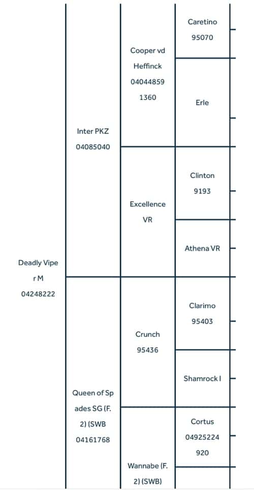 Bild av Fräck Åring 