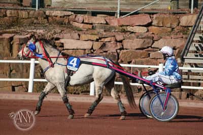 Inlägg 38 av Allround med titeln Ponnytrav 