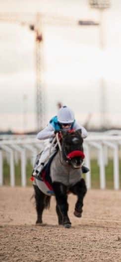 Inlägg 93 av Galopp med titeln Snart SIHS 2023!!🥳