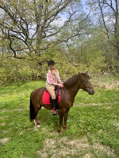 Inlägg 19 av New Forest med titeln 🍀🦄🍀