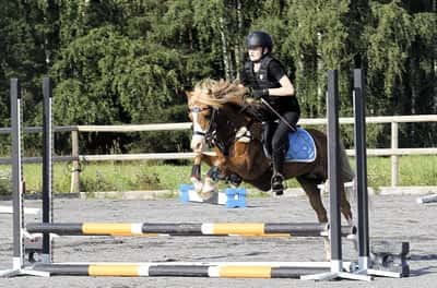 Inlägg 20 av Korsningsponny med titeln Hoppträning 