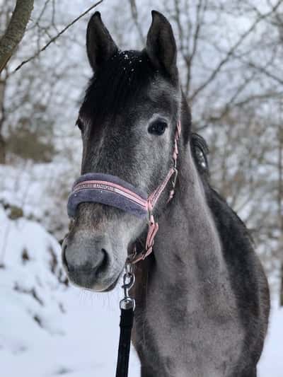 Inlägg 166 av Allround