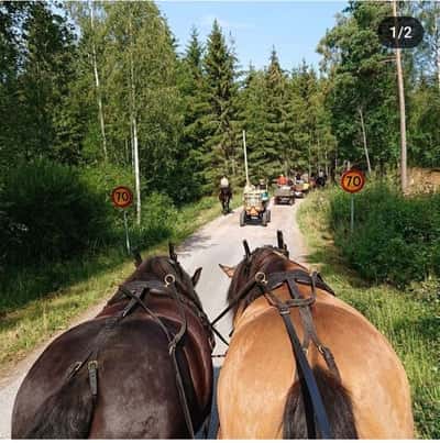 Post 6 of Utility with title Cajjan med sin flickvän Salsa på Hästsemestern 