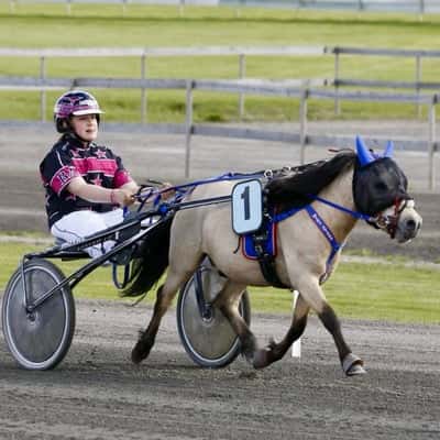 Lexie's Falling From Fame