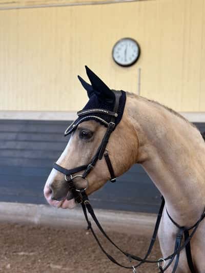 Inlägg 81 av Allround med titeln Han är underbar!🥹