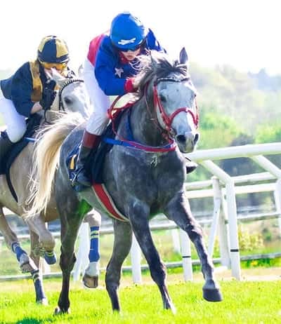 Inlägg 15 av Arabiskt Fullblod med titeln Ponnygalopp 