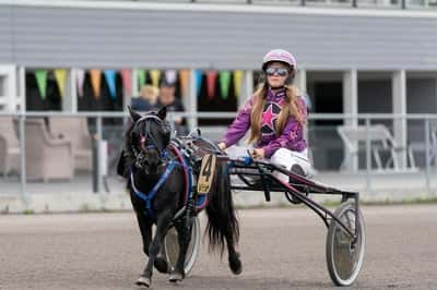 Inlägg 17 av Ponnytrav med titeln DPK’s ponnytravgala 2023 🏆