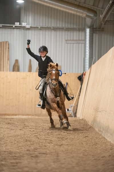Post 331 of Show jumping with title Tävling Gagnef 