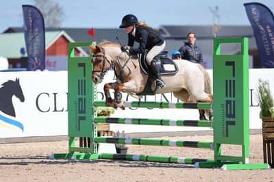 Inlägg 92 av Allround