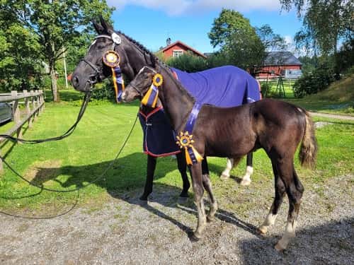 Bild av Magiskt vacker grabb