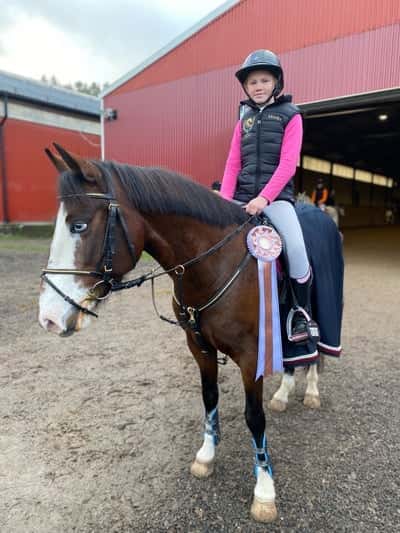 Post 369 of Show jumping with title Ungponny SM 2021🫶🏼