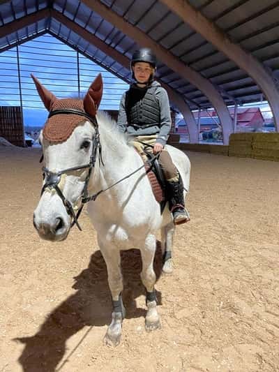 Inlägg 7 av Lipizzaner med titeln Träning i kärrbo