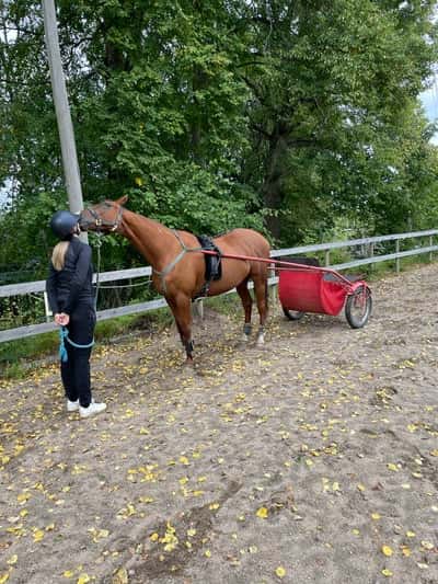 Inlägg 95 av Allround