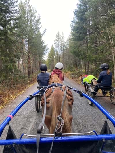 Inlägg 14 av Sportkörning