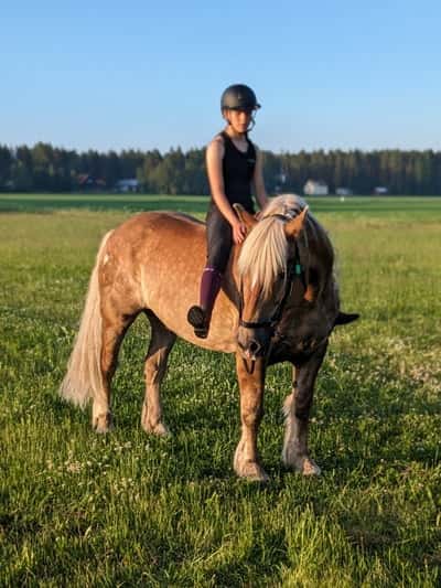 Inlägg 8 av Nordsvensk med titeln Sötaste udde😍