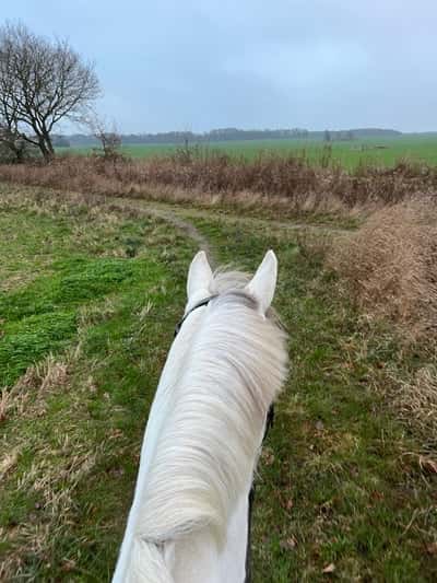 Inlägg 89 av Allround med titeln Äntligen tillbaka 